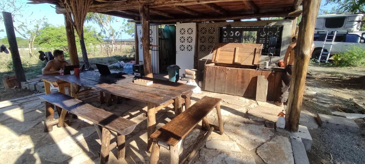 Palapa Hostel Transito ภายนอก รูปภาพ