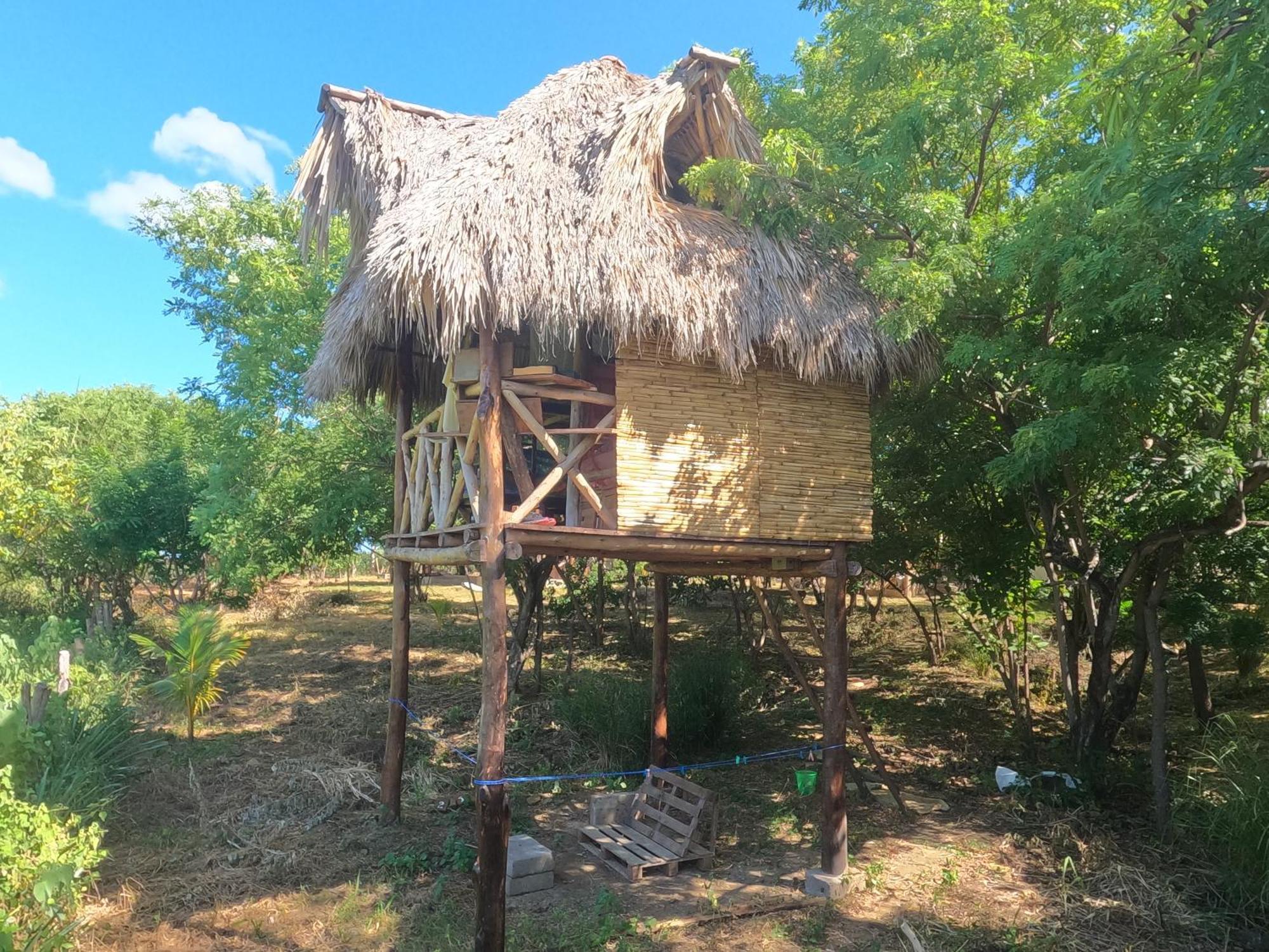 Palapa Hostel Transito ภายนอก รูปภาพ