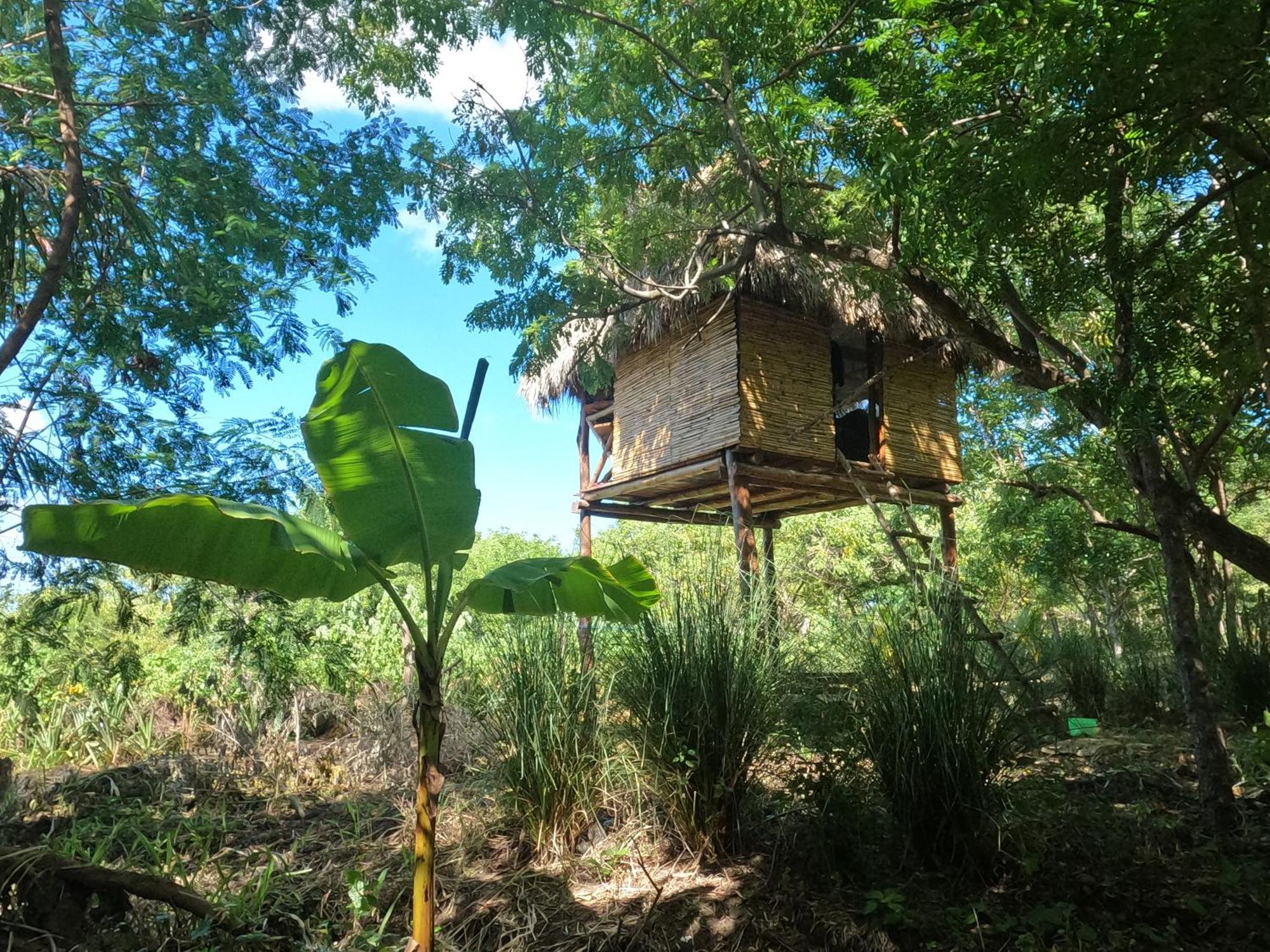 Palapa Hostel Transito ภายนอก รูปภาพ
