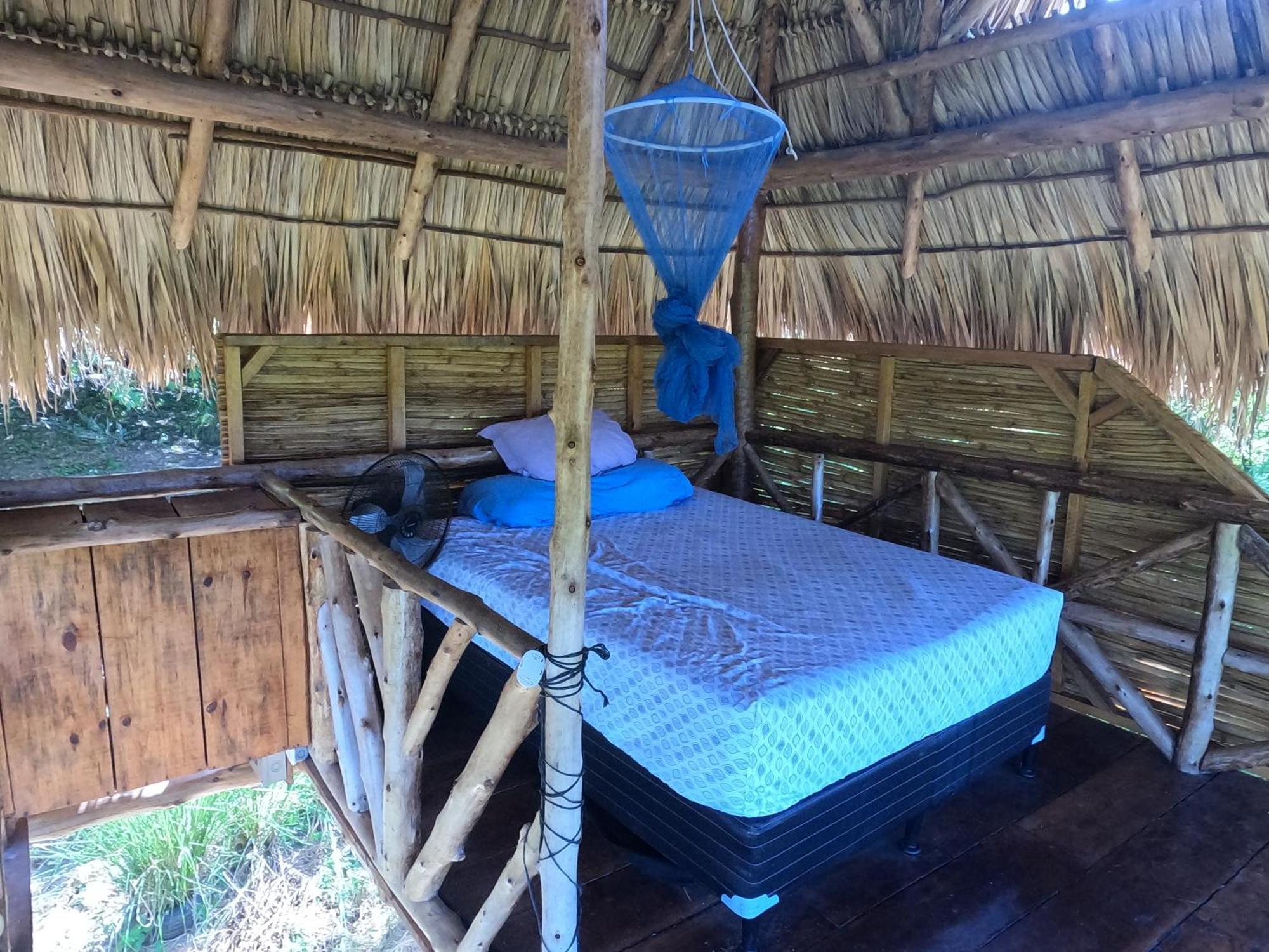 Palapa Hostel Transito ภายนอก รูปภาพ